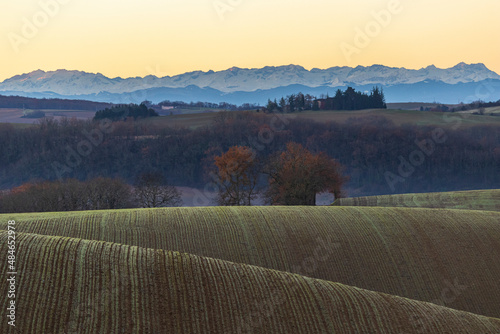 Panorama sur les Pyrénées enneigées vue de la campagne gersoise à l'aube