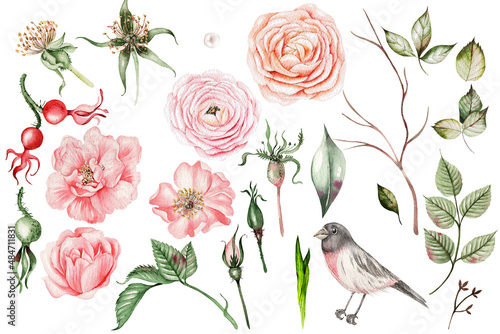 Beautiful watercolor set with pink spring flowers and buds, leaves and bird.