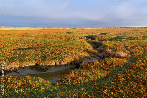 La Vanlée saltmarshes in Normandy coast. Bricqueviile-sur-Mer village