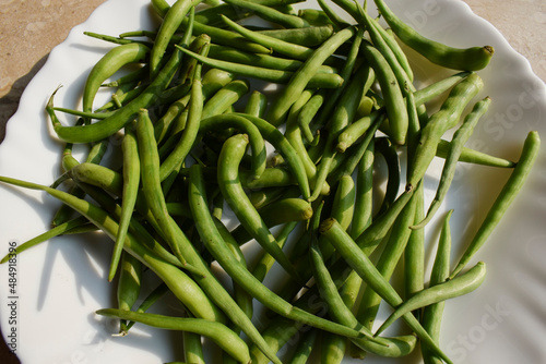 Radish pods or Mogri fali , green raw vegetable specially during winter season. Easten raw as salad or prepared as curry side dish. Indian or Pakistani asian vegetable Radish pod