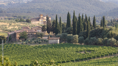 Tuscan villa with vineyard in Italy
