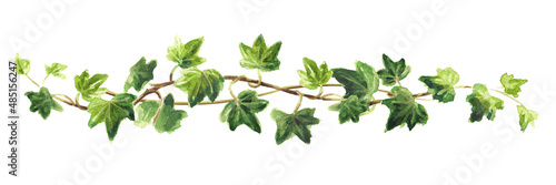 Ivy branch with green leaves border, Hand drawn watercolor illustration isolated on white background