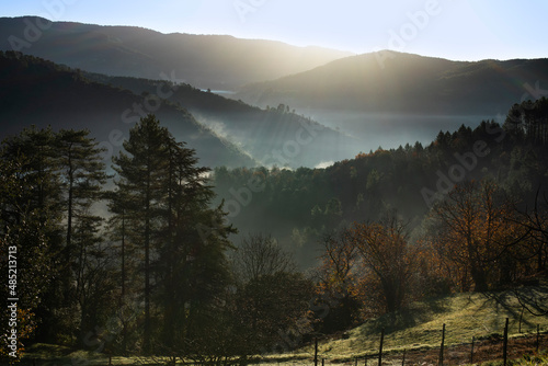 Vallée sauvage dans la brume du matin sous le soleil d'automne. Montagne aux forêts de sapins. Cévennes France.