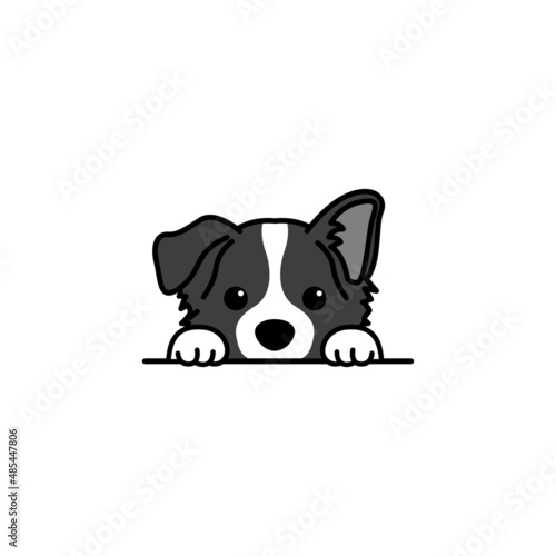 Cute border collie puppy peeking cartoon, vector illustration