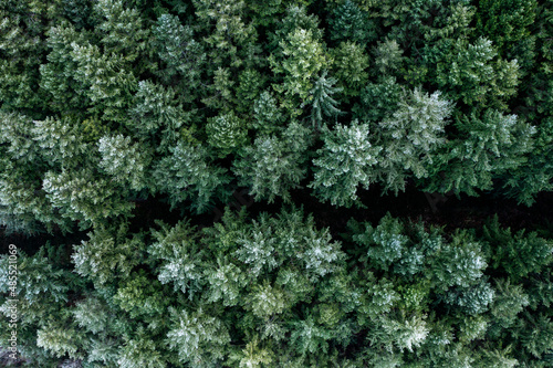 Un forêt de sapin en vue aérienne dans le parc naturel régional du morvan