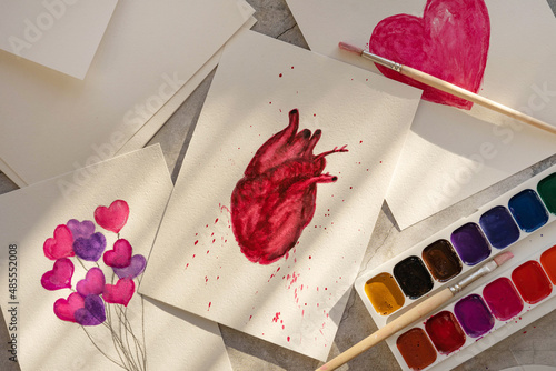 Watercolor drawing of an anatomical human heart. Drawing a pragmatic valentine in the artist's studio.