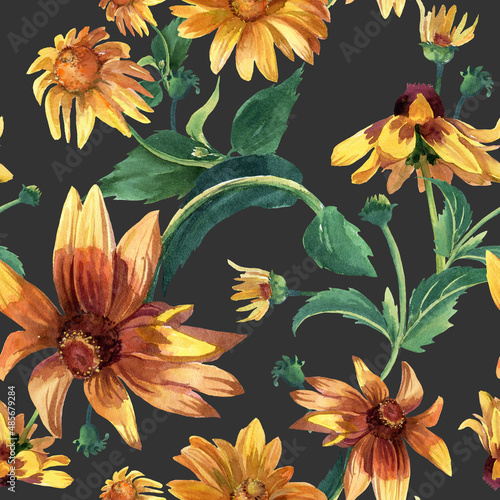 Watercolor seamless pattern with summer flowers. Large rudbeckia flowers, elegant pattern.
