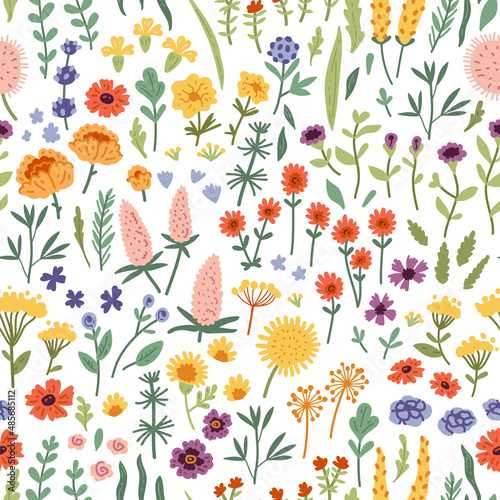 Vector seamless pattern with hand drawn wild plants, herbs and flowers, colorful botanical illustration, floral elements, hand drawn repeating background. Wild meadow herbs, flowering flowers