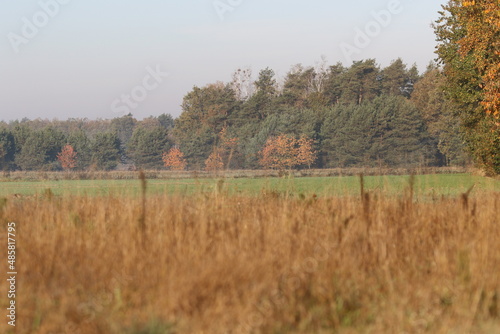 Jesień na polach