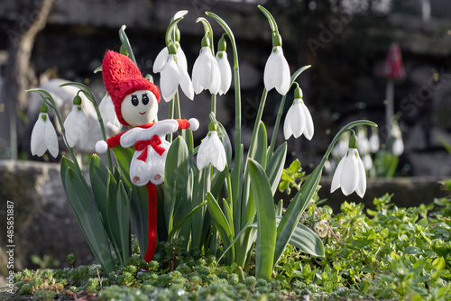 Snowdrops and martenitsa or martishor. March 1st - traditional trinket, Baba Marta Day - Bulgarian holiday. Beginning of spring, springtime concept