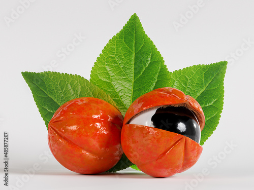 Guarana fruit from the Amazon with apparent seed and leaves