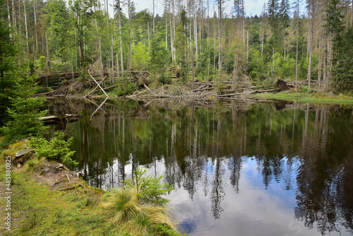 Boubín Lake, as a navigable reservoir on the Kaplický brook, was built in 1833 to simplify the navigation of timber from the Boubín forests. Boubín Lake