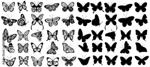 set of butterfly silhouette ,on white background, vector