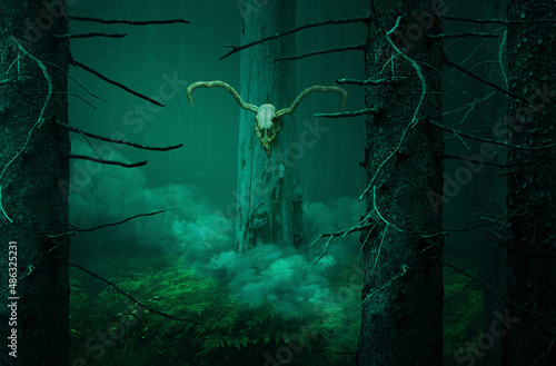 Horned skull on tree in smoke in dark forest. Pagan druid worship ritual 