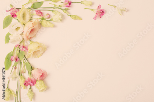 spring beautiful flowers on paper background