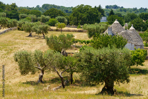 Rural landscape on Apulia between Polignano a Mare and Alberobello