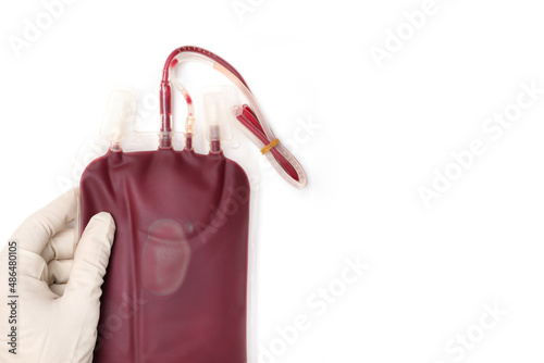 A hand in a glove holding a blood bag. Blood transfusion and blood donation concept.