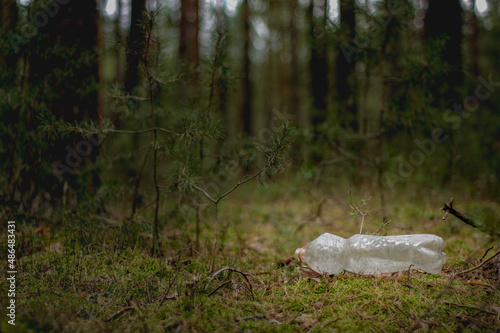 Plastikowa, przeźroczysta butelka typu pet porzucona w sosnowym lesie.