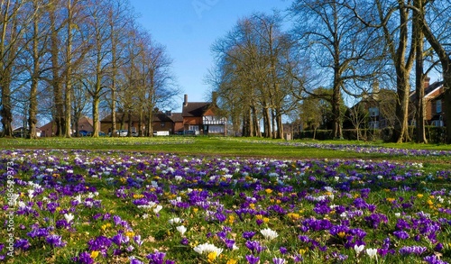 Stoke Park Guildford Surrey