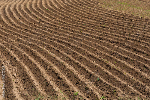 Terre enrichie, résidus des cultures, fertilisation organique, Alsace, France