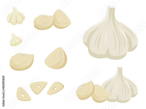 ニンニクのイラスト(ガーリック、スタミナ、スパイス、野菜) An illustration of garlic.Garlic, stamina, spices and vegetables.