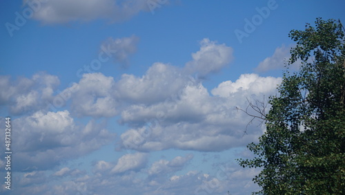 Cumulus (Cu), chmura kłębiasta – oddzielna, nieprzezroczysta, zwykle biała chmura złożona z kropel wody. Jej górna część (z wyjątkiem gatunku Cumulus fractus) ma kształt kopulasty lub kalafiorowaty. 