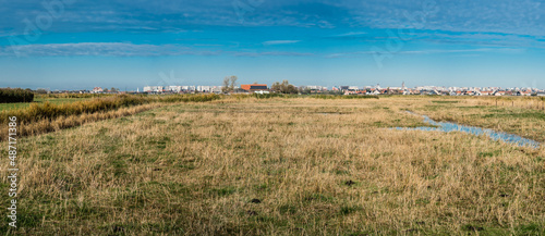 View over the green meadows at the polders in Uitkerke with the buildings of Blankenberge, Belgium in the background