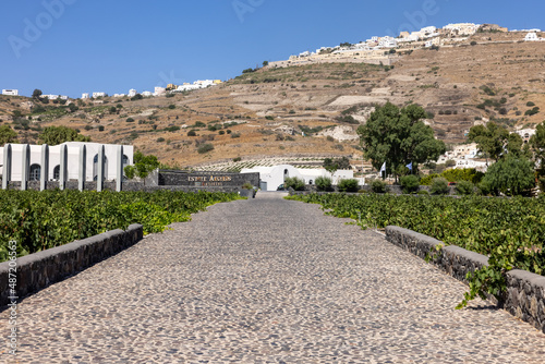  Estate Argyros has been established in 1903, It is the largest private owner of vineyards in Santorini and the current landholdings exceed 120 ha