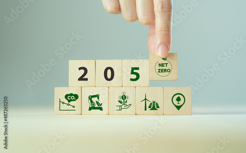 Net zero by 2050. Carbon neutral. Net zero greenhouse gas emissions target. Climate neutral long term strategy. No toxic gases. Hand puts wooden cubes with net zero icon in 2050 on grey background.