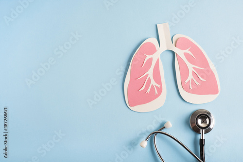 Lungs paper decorative model with medical stethoscope on light blue background. World tuberculosis TB day, pneumonia, respiratory diseases concept. Top view, flat lay, copy space