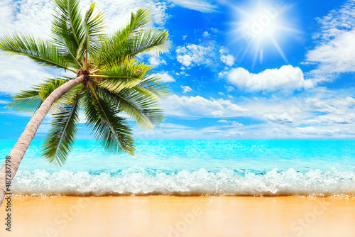 Tropical island sea beach landscape, green coconut palm tree leaves, turquoise ocean water waves, blue sky sun white clouds, yellow sand, summer holidays, vacation, travel, beautiful paradise nature