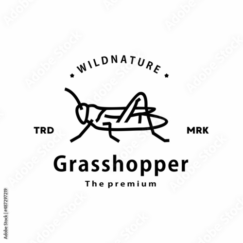 vintage retro hipster grasshopper logo vector outline monoline art icon