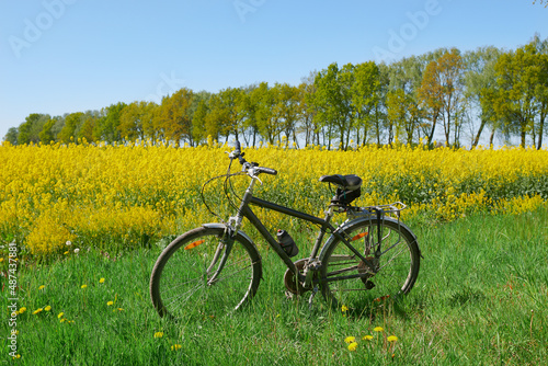 Rower stoi wśród pól kwitnącego rzepaku. Po trudach trasy i polnych dróg rowerzysta odpoczywa leżąc w trawie.