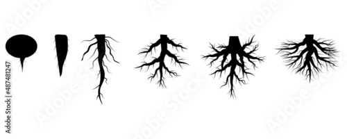 Roots set. Design spring tree illustration. Floral branch. Nature background. Vector illustration. stock image.