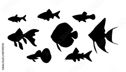 Vector aquarium fish in black silhouette isolated on white background.