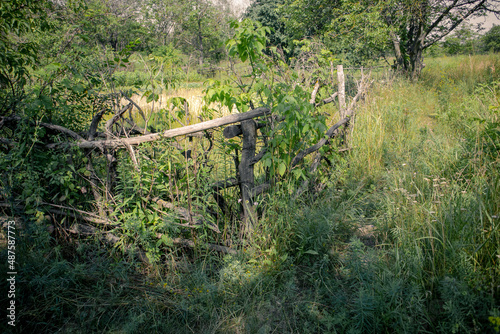 Ancient wooden fence in the forest thickets. Fenced area in the forest among tall green grass