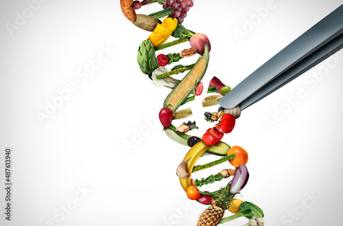 Agriculture gene editing and agricultural CRISPR concept or genetic engineering of food as a group of farm produce shaped as a DNA strand