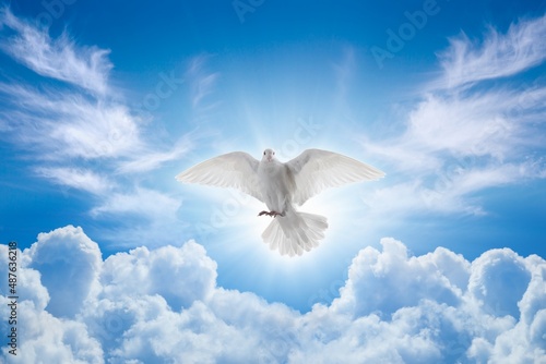 Holy Spirit came down in bodily shape, like dove. Bright light shines from heaven, white dove is symbol of purity and peace