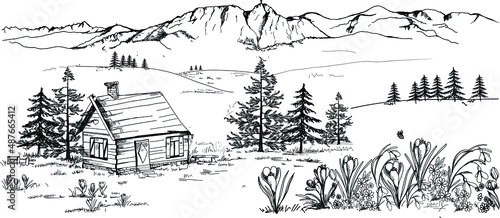 Spring mountains in Zakopane in the Podhale region, spring in the mountains. A wooden hut, crocuses, saffron and snowdrops. Sketch, drawing, scribble, vector.