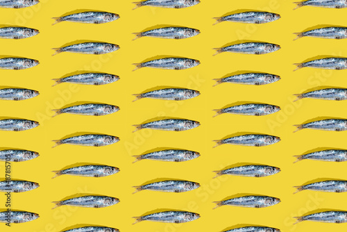 A mosaic of (Engraulis encrasicolus) Fresh silver-colored anchovies on a yellow background. Fish rich in vitamin B with an exquisite flavor. Anchoas