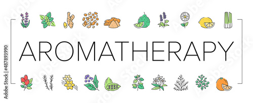 Aromatherapy Herbs Collection Icons Set Vector Illustration .