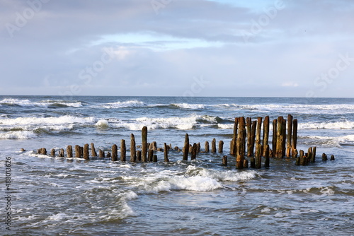 Nordseebuhnen auf Insel Sylt, Deutschland