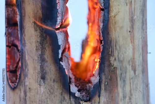 Swedish torch, burning wood, winter campfire, 