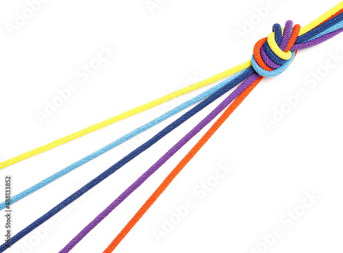 Five multi-colored cords come together in one knot