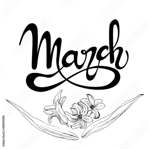 ‎Letrero de letras escritas a mano y vectorizado "March". Recurso grafico sobre fondo blanco, marzo mes del año con flores de jacinto