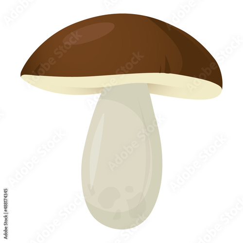 Mushroom Boletus Vector Icon Cartoon cep drawing
