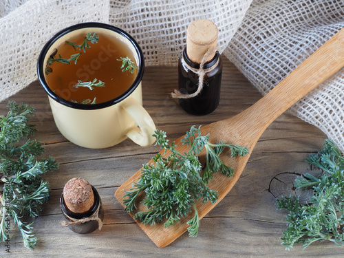 Fresh young wormwood leaves, oil, tincture and herbal tea, napkin on a wooden background, flat layout. Medicinal plant artemisia absinthium for use in food, medicine, homeopathy and cosmetology