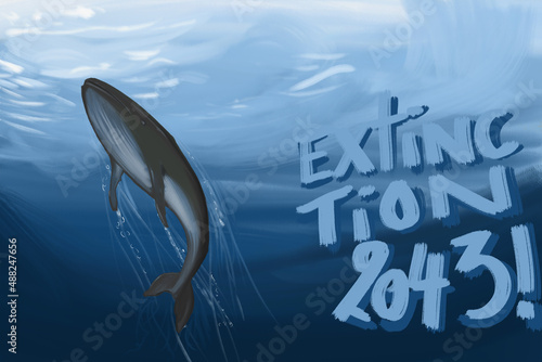 2043 l'année de l'extinction de la baleine