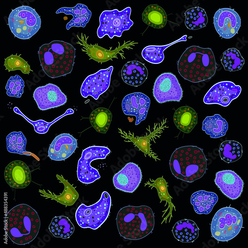 Set of innate immune system cells, vector illustration