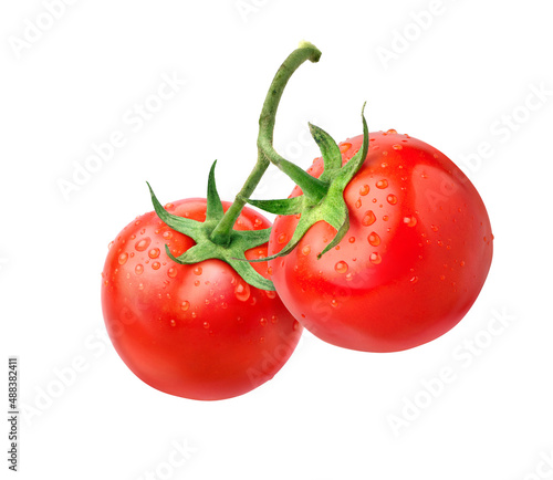 Two tomatoes with water droplets isolated on white background.